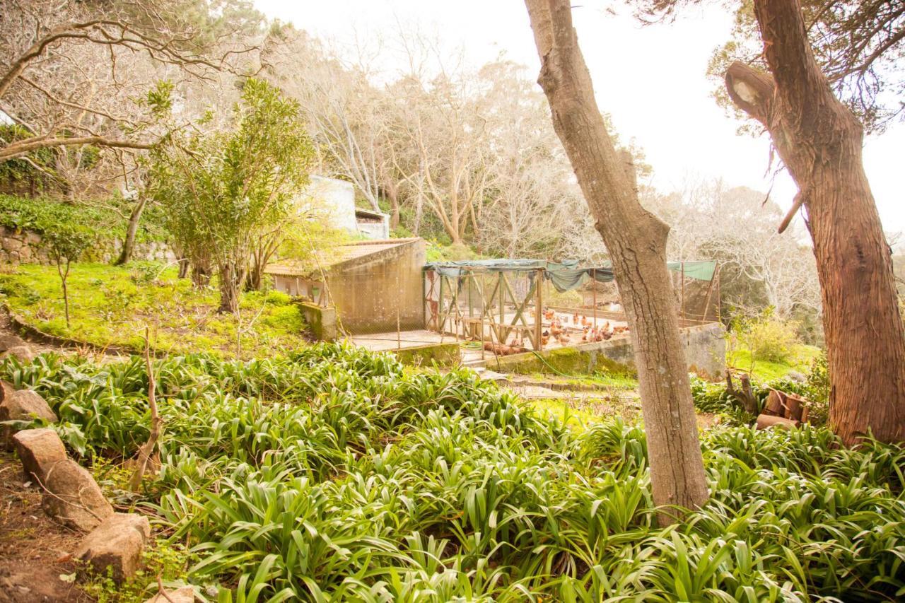 Almaa Sintra Hostel Kültér fotó